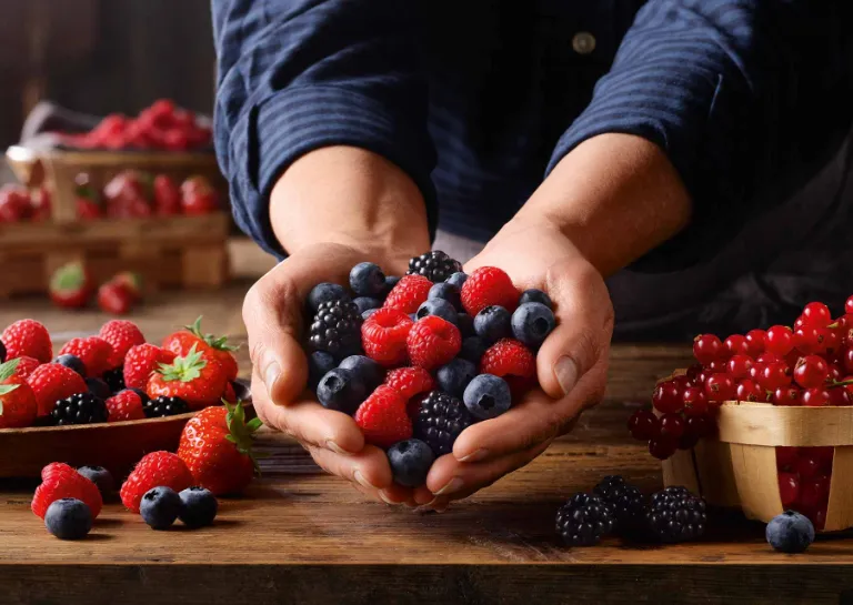 Obst und Gemüse - Qualität und Frische aus erster Hand